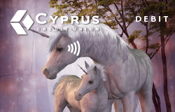 card designs unicorn debit