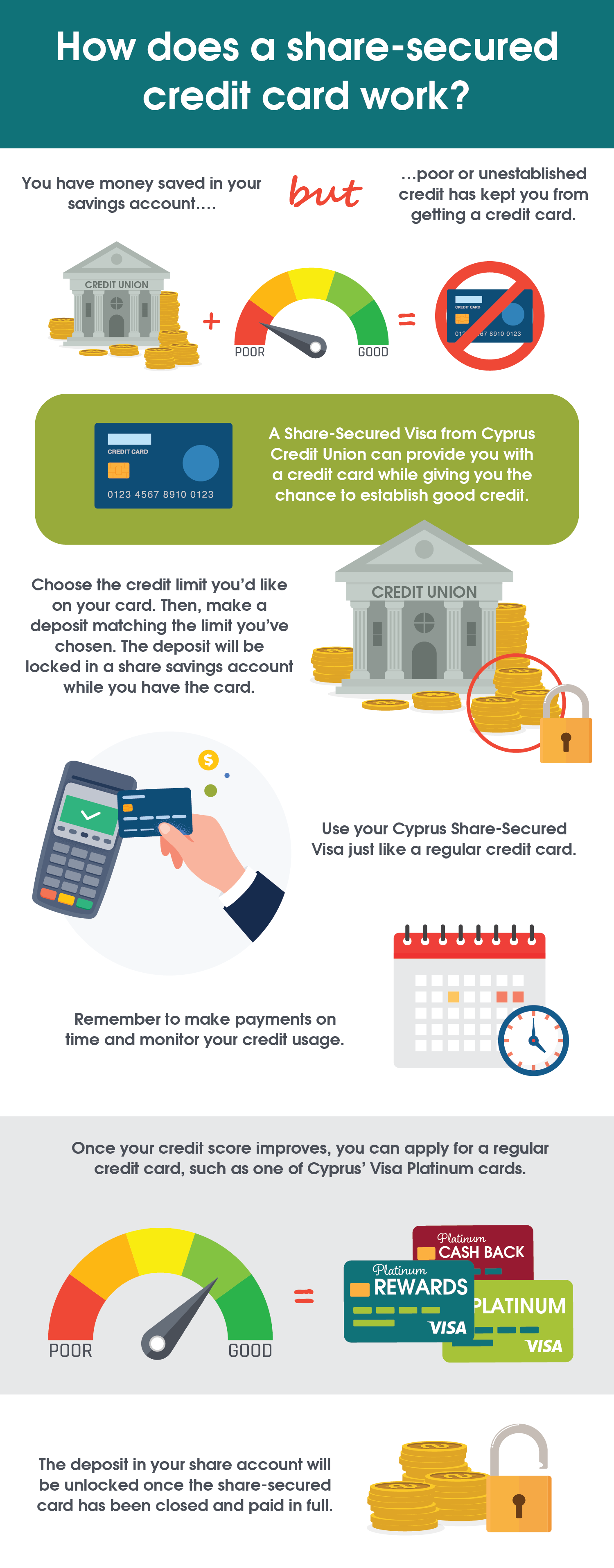 Shared-secured visa card infrographic