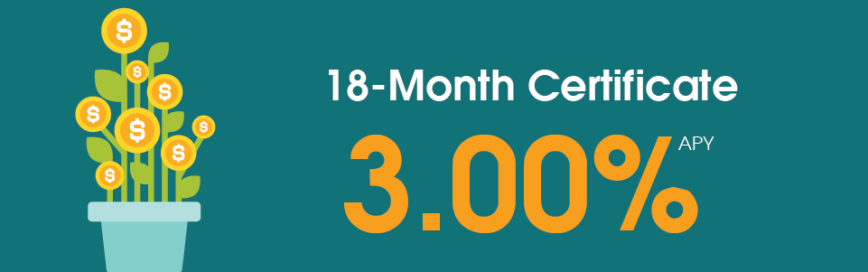 18 month certificatemobile